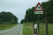 Je nach Jahreszeit kreuzen mehr oder weniger Tiere die Strassen. (Bild: Archiv)