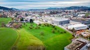 Diese Wiese im Osten der Stadt wird demnächst überbaut: Als erste Firma plant die Regloplas AG einen Neubau für eine Produktionsstätte. (Bild: Urs Bucher)