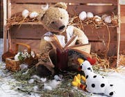 Die Teddybären-Bilder der bayrischen Fotografin Ulrike Schneiders sind ein Blickfang der neuen Sonderausstellung im Appenzeller Volkskundemuseum in Stein. (Bild: Ulrike Schneiders)