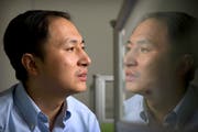 Der Forscher He Jiankui muss seine Experimente sofort stoppen. (Bild: Mark Schiefelbein/AP)