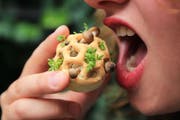 «Edible Growth», Essen aus dem 3D-Drucker. Bild: Chloé Rutzerveld