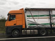 Rund 24 Tonnen Schnittholz drückten bei einem Bremsmanöver auf die Fahrerkabine. (Bild: Zuger Polizei)