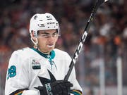 Currently very accurate: Appenzeller Timo Meier from San Jose sharks (Image: KEYSTONE / FR171561 AP / KYUSUNG GONG)