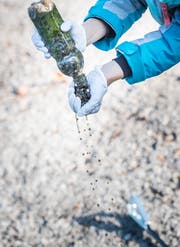 Eine Plastikflasche voller Steine und Algen.