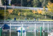 Systematisch suchen die Helfer das Hafengebiet ab.