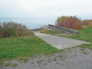 Bei der Rampe hinter der Landebahn dürfen Pferde nun gebadet werden. (Bild: Kurt Latzer)