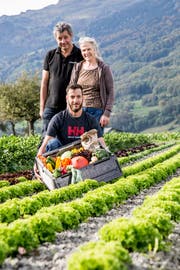 Seit vergangenem Frühling bietet die Familie Seifert vom Böschnihof in Sevelen die Saisonbox an.