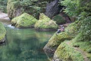 Zwei Mitglieder des Fischereivereins Thur versuchen im Aeuli bei Lichtensteig Fische zu fangen und geniessen dabei die schöne Natur. (Bild: PD)