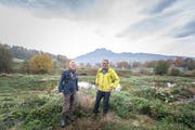 Das neu gestaltete Areal Allmend Ost, auf dem Biodiversität gross geschrieben wird: Stefan Herfort, Bereichsleiter Natur- und Landschaftsschutz bei der Stadt Luzern (rechts), und Stadtrat Adrian Borgula. (Bild: Roger Grütter (Luzern, 6. November 2018))
