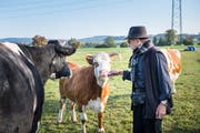 Der Tierschützer Reinhold Zepf lässt Kühe leben. (Bild: Andrea Stalder)