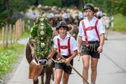 Dieser Alpabzug im Allgäu heisst Viehscheid, und statt Toggenburger Trachten werden Lederhosen und Filzhüte getragen. (Bild: PD)
