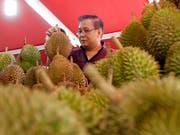 Durian-Früchte sind in Südostasien beliebt, ihr süsslich-fauler Geruch ist aber sehr gewähnungsbedürftig. (Bild: KEYSTONE/EPA/STEPHEN MORRISON)
