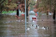 Der Parco della Pace in Locarno ist plötzlich zu einem grossen Teich geworden. (Bild: Alessandro Crinari/Keystone (Locarno, 6. November 2018))