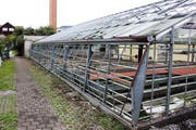 An Gartenbau erinnert bei Max Sennhausers Anlage nur noch wenig. (Bild: Chris Eggenberger)