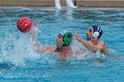 Der SC Frosch profitiert von den massiv verbesserten Trainingsbedingungen im Ägeribad.(Bild: Roger Zbinden, freier Fotograf (Baar, 09. Juni 2018))