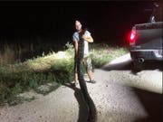 Rekordverdächtig: Die in Florida gefangene Python hat eine Länge von 5,3 Metern und ein Gewicht von rund 60 Kilo. (Bild: South Florida Water Management District/Twitter)