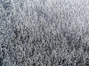 Der Wintereinbruch wirkt sich in Graubünden aus: Steigende Lawinengefahr, geschlossene Pässe, dazu war Samnaun am Montagmorgen auf der Schweizer Seite nicht erreichbar. (Symbolbild KEYSTONE/Anthony Anex) (Bild: Symbolbild KEYSTONE/ANTHONY ANEX)