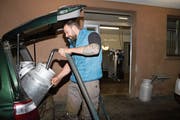 André Rohrer liefert an der Milchsammelstelle Flüeli-Ranft seine Milch ab. (Bild: Marion Wannemacher (Flüeli-Ranft, 5. Dezember 2018))