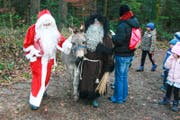 Samichlaus und Schmutzli kamen mitsamt Esel zur Lommiser Bürgerhütte. (Bilder: PD)