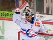 Wechselt auf nächste Saison von den Lions zu den Berner Bären: Goalie Niklas Schlegel (Bild: KEYSTONE/MARCEL BIERI)