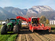 Mit der Bestellung einer Erntemaschine nahm 2010 der mehrere Jahre dauernde Prozess seinen Anfang. (Bild: pd)