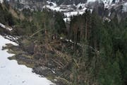 In der Gemeinde Wildhaus-Alt St. Johann richtete der Sturm Burglind grosse Schäden an, beispielsweise oberhalb von Alt St. Johann (Bild links) oder entlang des Wanderwegs von Wildhaus nach Gamplüt (Bild rechts). (Bild: Bilder: Sabine Camedda)