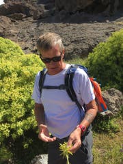 René Forrer weiss viel über die Flora der Insel. (Bild: PD)