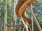 Mit Holz in den Wald gebaut. (Bild: Hanspeter Schiess)