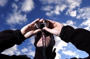 Laut den Bundesrichtern liegt kein «eigentliches Verfolgen» eines Luzerners vor. (Bild: Archiv LZ)