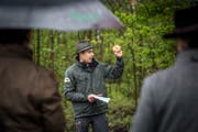 Urs Fuchs, Geschäftsführer von Wald Thurgau und Revierförster in Güttingen. (Bild: Reto Martin)