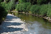 So wenig Wasser wie diesen Sommer führt die Thur selten. (Bild: Ruben Schönenberger)