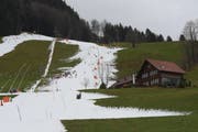 Rund um die Piste ist es noch grün.