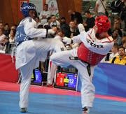 Die Taekwondo-Schweizer-Meisterschaft fand im September in der Wattwiler Markthalle statt. (Bild: Urs Huwyler)