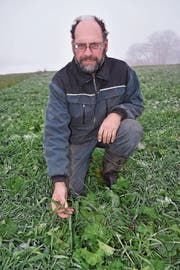 Landwirt Heinz Brauchli. (Bild: Thomas Güntert)