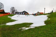 Nur dort, wo die Schutzmatten lagen, ist trotz Regen und Wärme genügend Schnee liegengeblieben. (Bild: Rudolf Hirtl)