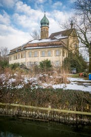 Verwahrlost, verwaist und verlottert: Die Luxburg in Egnach. (Bild: Reto Martin)