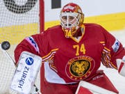 Ivars Punnenovs im Tor der Tigers (Bild: KEYSTONE/MARCEL BIERI)