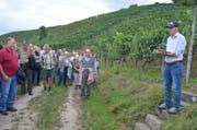 Rebbaukommissär Markus Leumann führte schon zahlreiche Rebbegehungen im Thurgau und in Schaffhausen durch. (Bild: Thomas Güntert)