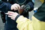 Die Stadtpolizei kontrollierte mehrere Personen, die Drogen bei sich getragen haben. (Bild: PD)