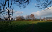Wiese beim Göbli - in dieser Gegend soll der Neubau zu stehen kommen. (Bild: Stefan Kaiser (Zug, 5. Dezember 2017))
