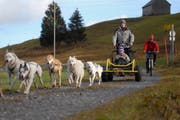 Der Vater lenkt den Buggy, der grosse Bruder hält seinen beeinträchtigten Bruder in den Armen. Begleitet wird das Gespann von einem Mitarbeiter von Huskystuff auf dem Mountainbike. (Bild: Christiana Sutter)