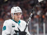 Timo Meier von den San Jose Sharks ist mit 13 Toren und 10 Assists derzeit der beste Schweizer Skorer in der NHL (Bild: KEYSTONE/FR171561 AP/KYUSUNG GONG)