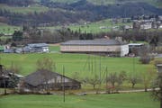 Die Micarna hat sich das Areal im Lerchenfeld neben dem alten Zeughaus im Baurecht gesichert. Sie will dort einen Verarbeitungsbetrieb für Geflügel erstellen. (Bild: Timon Kobelt)