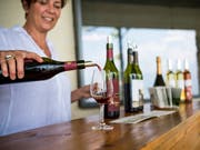 Für Weine aus dem Burgund werden Rekordpreise geboten. (Bild: KEYSTONE/JEAN-CHRISTOPHE BOTT)