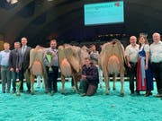 Ringman Daniel Gasser, Südtirol, Toni Brunner, Richter Stefan Widmer, Champion Züchter Danilo Taddei, Vorführer, OK-Präsident Emil Zwingli, Ehrendame und Bayrische Milchkönigin Anita Wagner, OK-Mitglied Godi Jud (von links). (Bild: Anna Gasser)