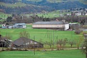Die Micarna hat sich entschieden, einen zweiten Verarbeitungsbetrieb für Geflügel im Lerchenfeld in Bütschwil zu bauen. (Bild: Timon Kobelt)