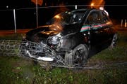 Das Auto kam im Wildschutzzaun zum Stillstand. (Bild: Kapo)