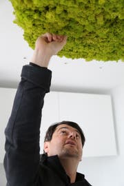 Ronnie Ambauen, Rorschacher Stadtrat und Architekt, begutachtet die Lampe aus Moos und Flechten. (Bild: Sandro Büchler)