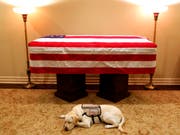 Vor der letzten Reise des 41. US-Präsidenten: Labrador Sully liegt vor dem Sarg von George H. W. Bush. (Bild: KEYSTONE/AP Office George H.W. Bush/EVAN SISLEY)