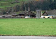 Die baulichen Massnahmen sehen unter anderem vor, Geländemulden auszugleichen. (Bild: Kurt Latzer (4. Dezember 2018))